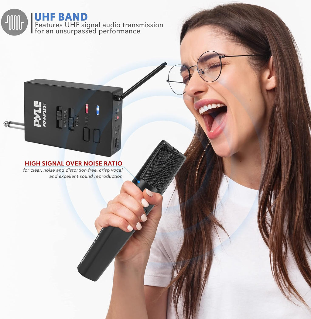 Portable Dual Wireless Microphone System with 2 Handheld Transmitter and 1 Receiver C9542