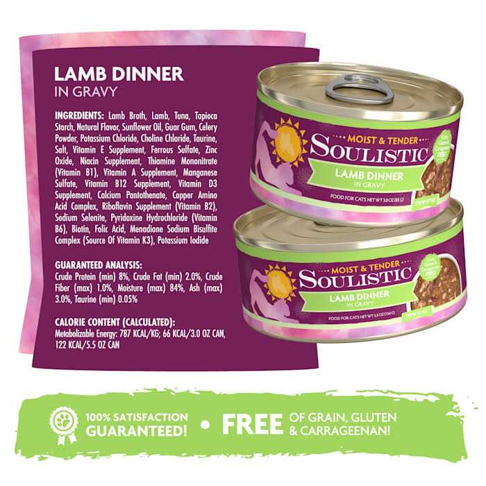 Wet Cat Food J237144