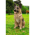 Brown and Black Small German Shepherd Sitting Statue R673944