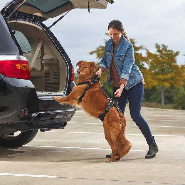 Front Rear Lift Dog Harness X844