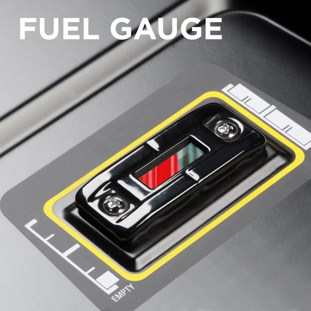 Dual Fuel Portable Generator with Remote Electric Start R13520