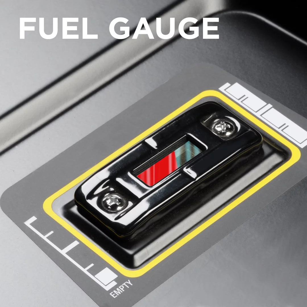 Dual Fuel Portable Generator with Remote Electric Start R13520