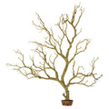 Manzanita Branch 22-inch Tall with Weighted Base O7408