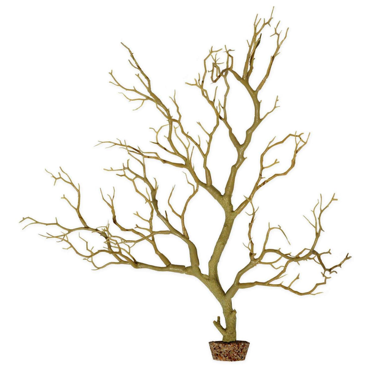 Manzanita Branch 22-inch Tall with Weighted Base O7408