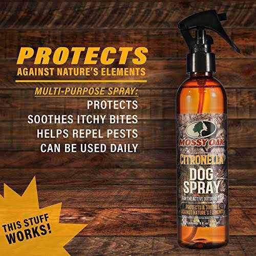 Citronella Dog Spray P341