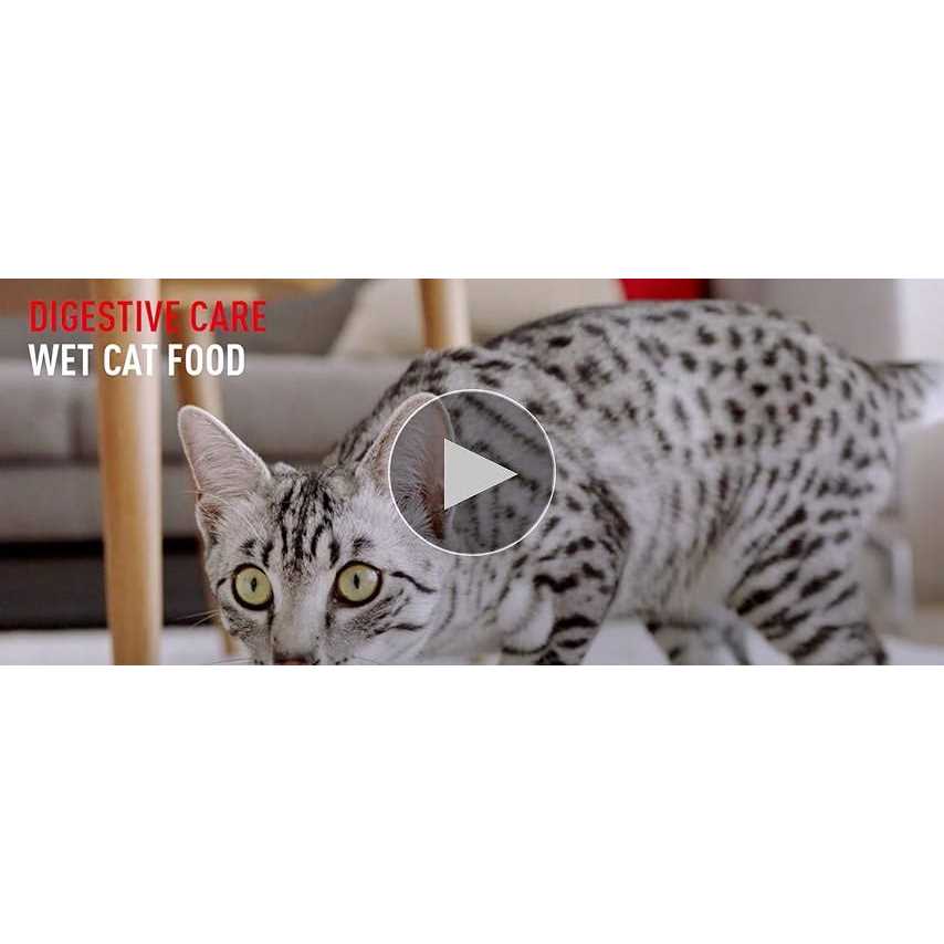 Sensitive Thin Slices in Gravy Wet Cat Food A534