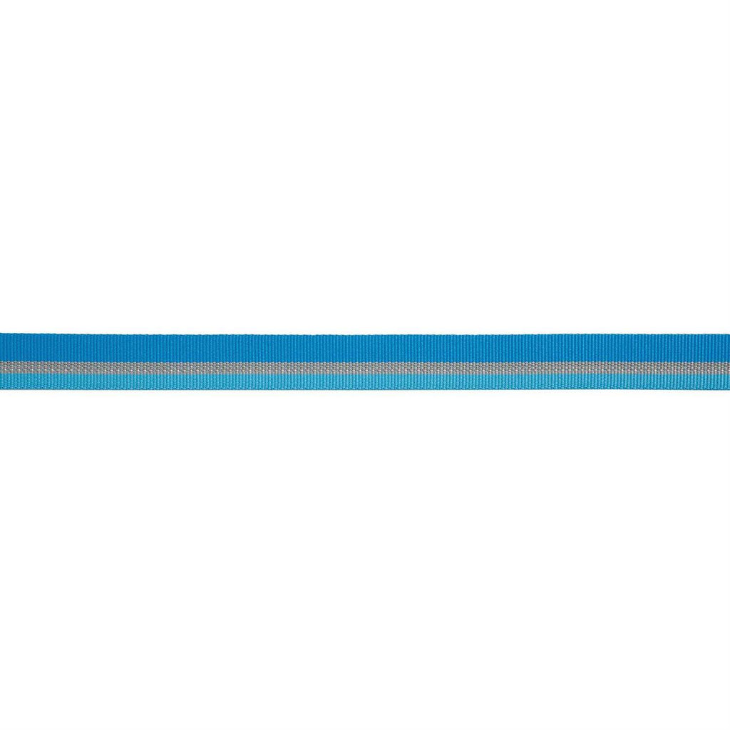 Dog Collar V98558