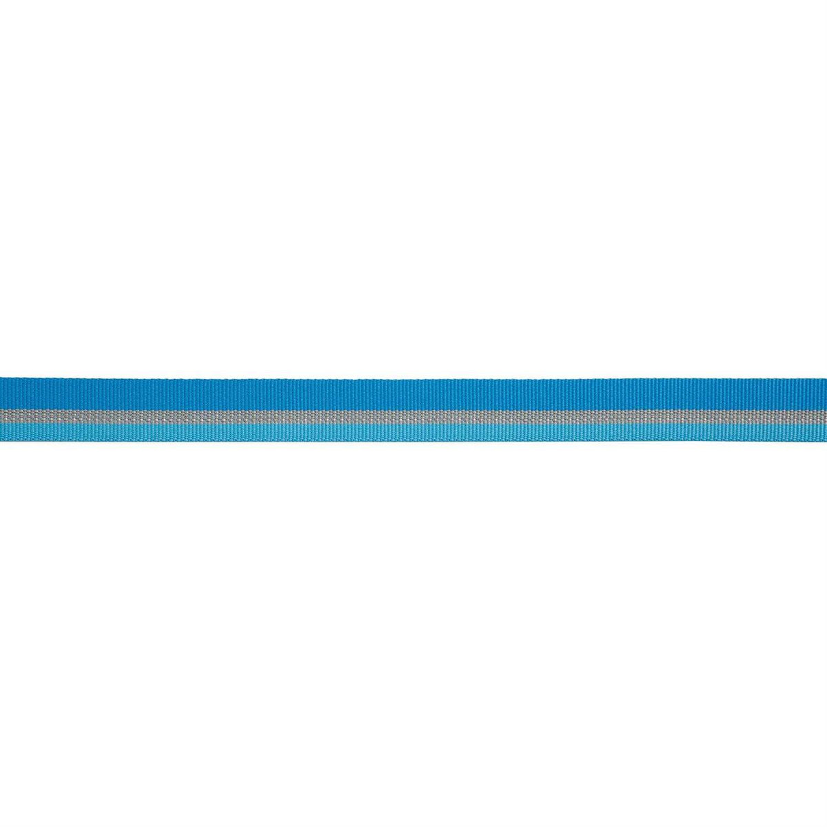 Dog Collar V98558