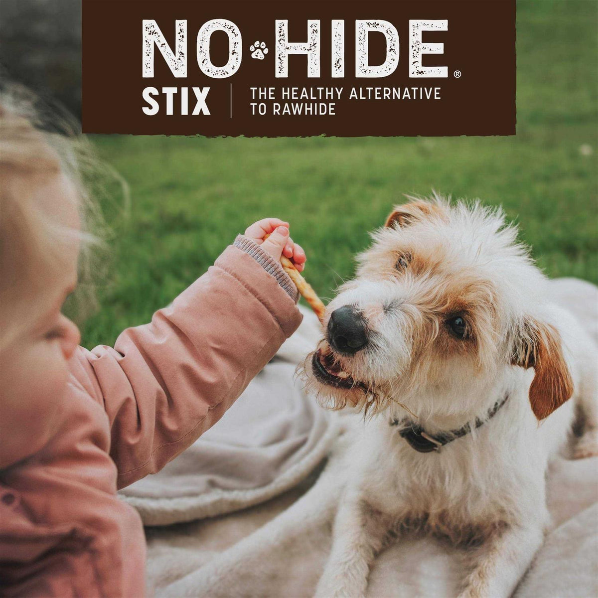 No Hide Peanut Butter Stix Y667