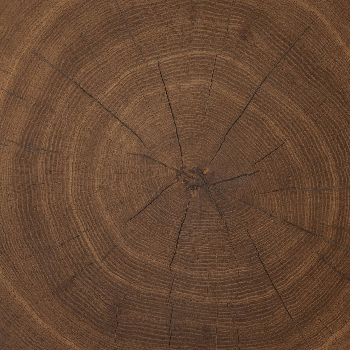 Caramel Oak Veneer End Table O54166