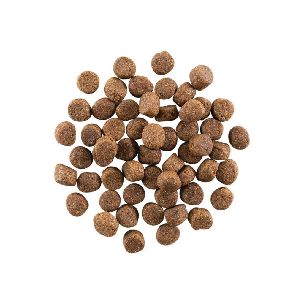Grain Free Chicken Turkey J873218