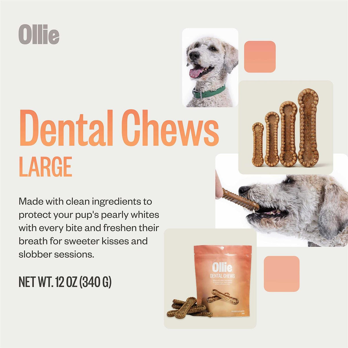 Dental Chews For Dogs H832173
