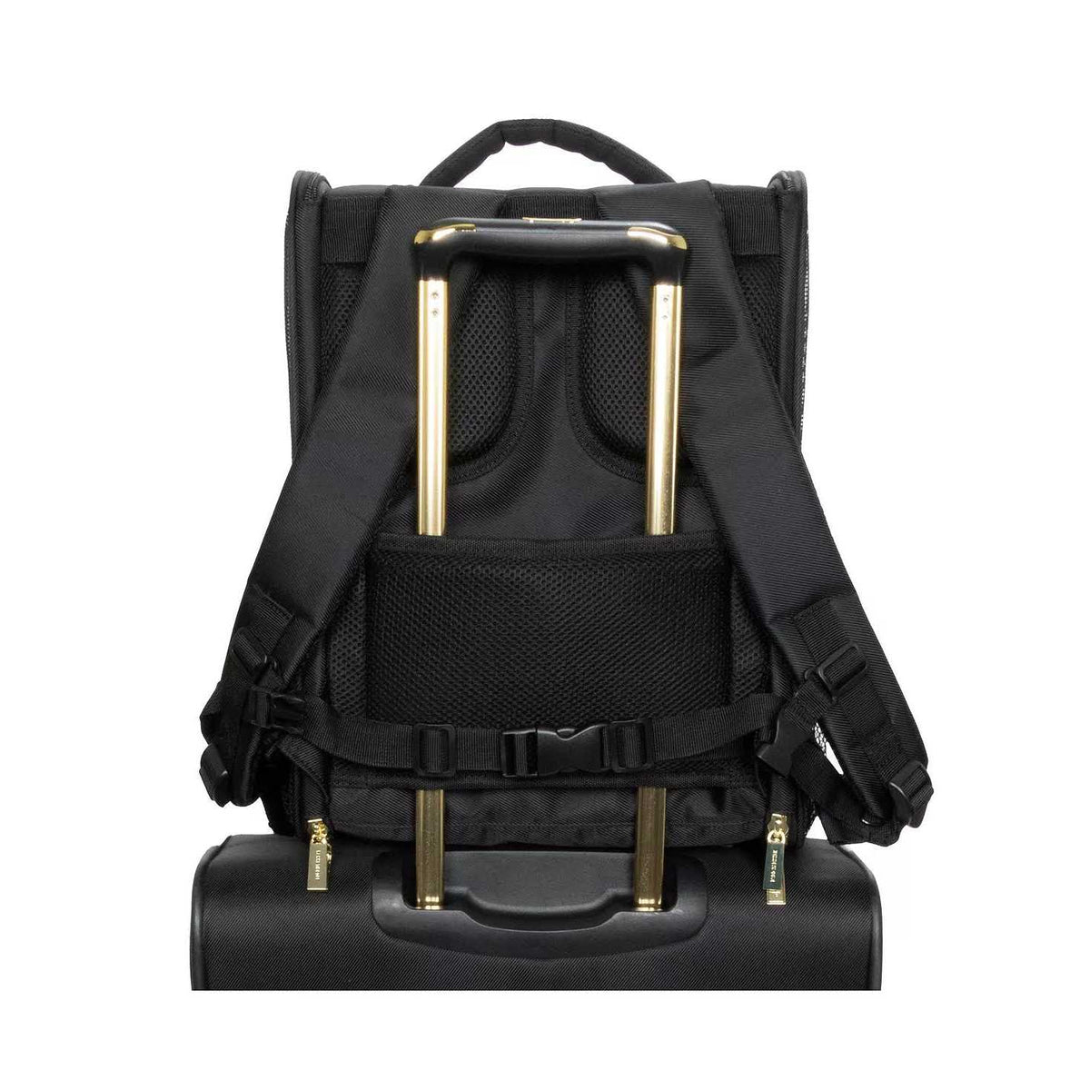 Collapsible Travel Pet Carrier M559530