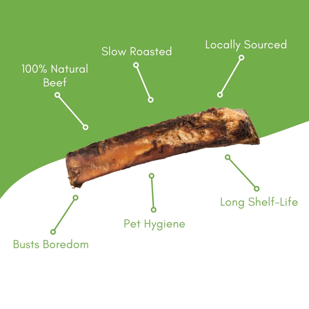Beef Rib Dog Bone G122259