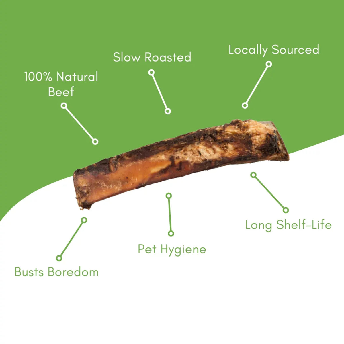 Beef Rib Dog Bone G122259