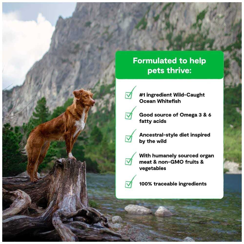 Grain-Free Dog Food B783407