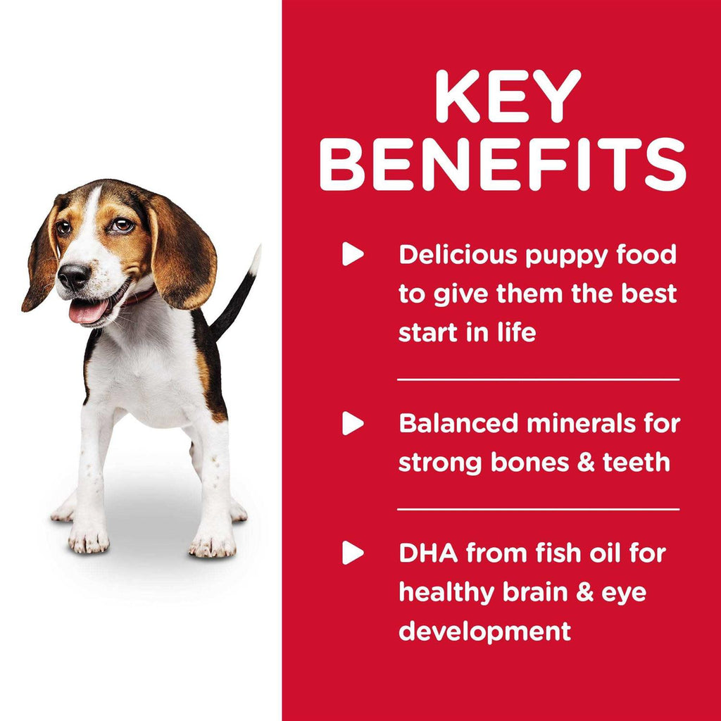 Chicken & Barley Dog Food V233