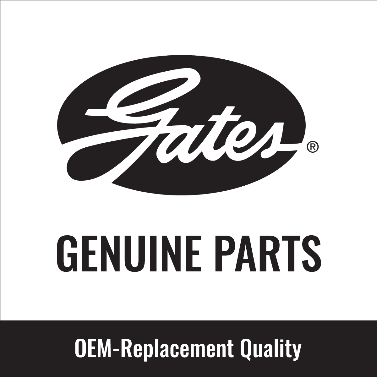 Serpentine Belt for Honda CR-V 2.0L L4 1997-1998 Q722896