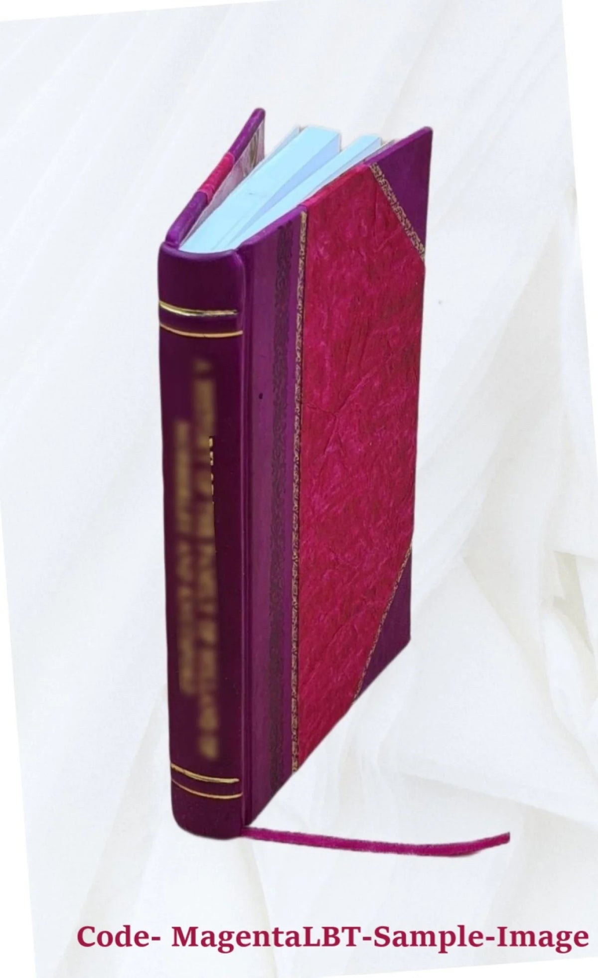 1916 Leather Bound A513862