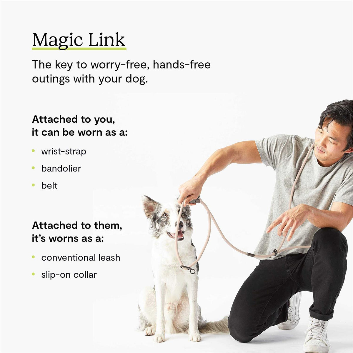 Hands-Free Dog Leash B588296