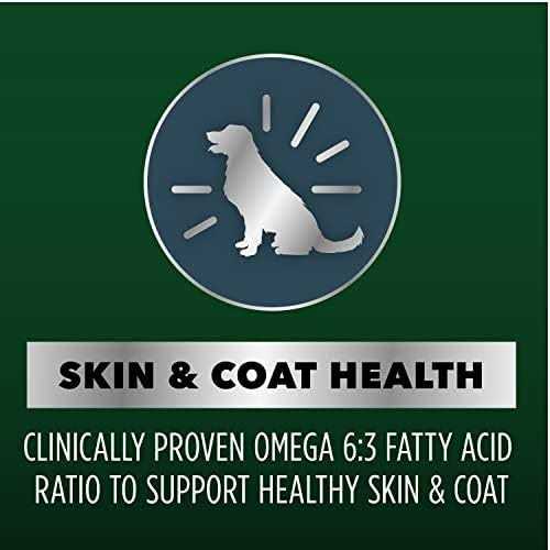 Chicken and Salmon Recipe Dry Dog Food H4165