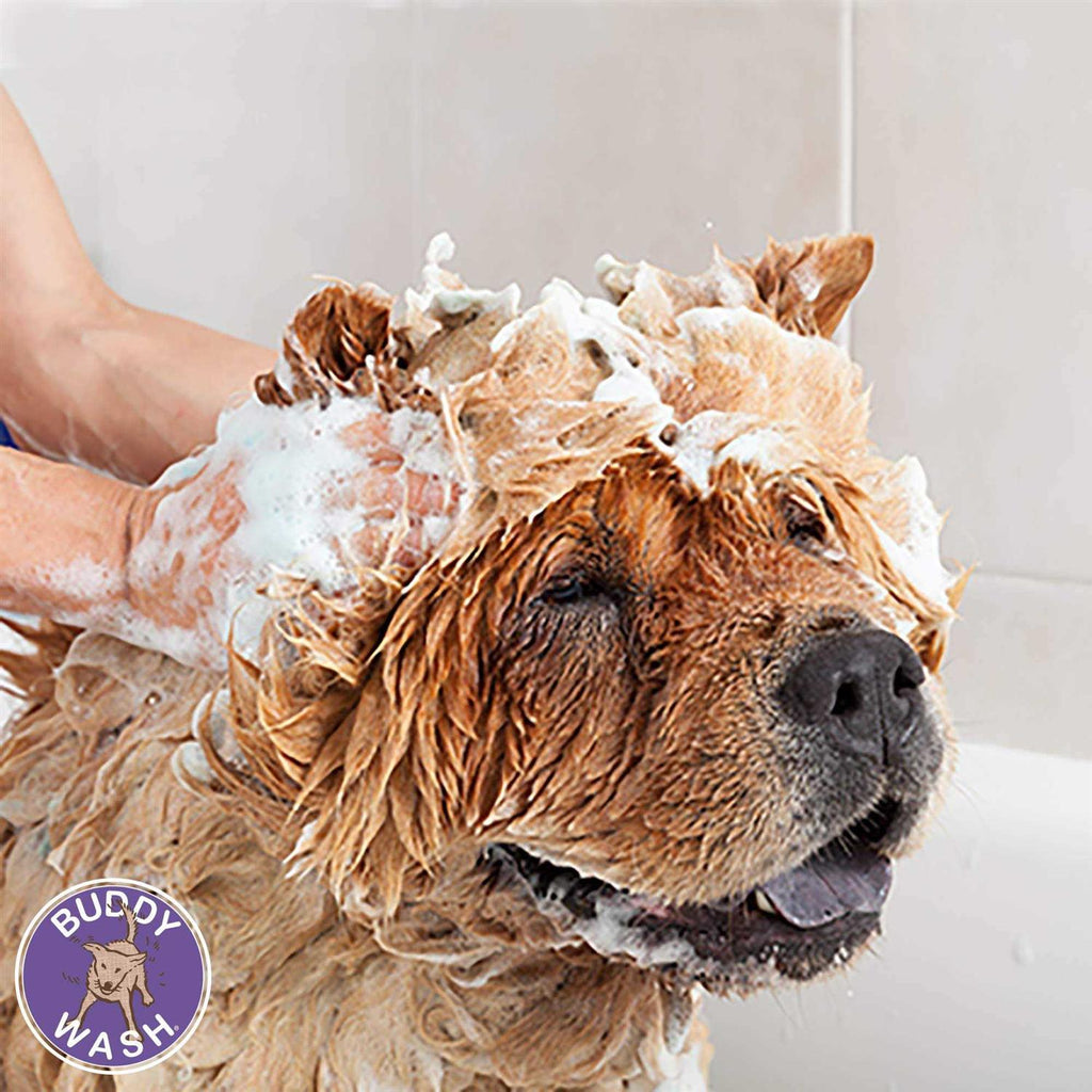 Dog Shampoo & Conditioner Y865377