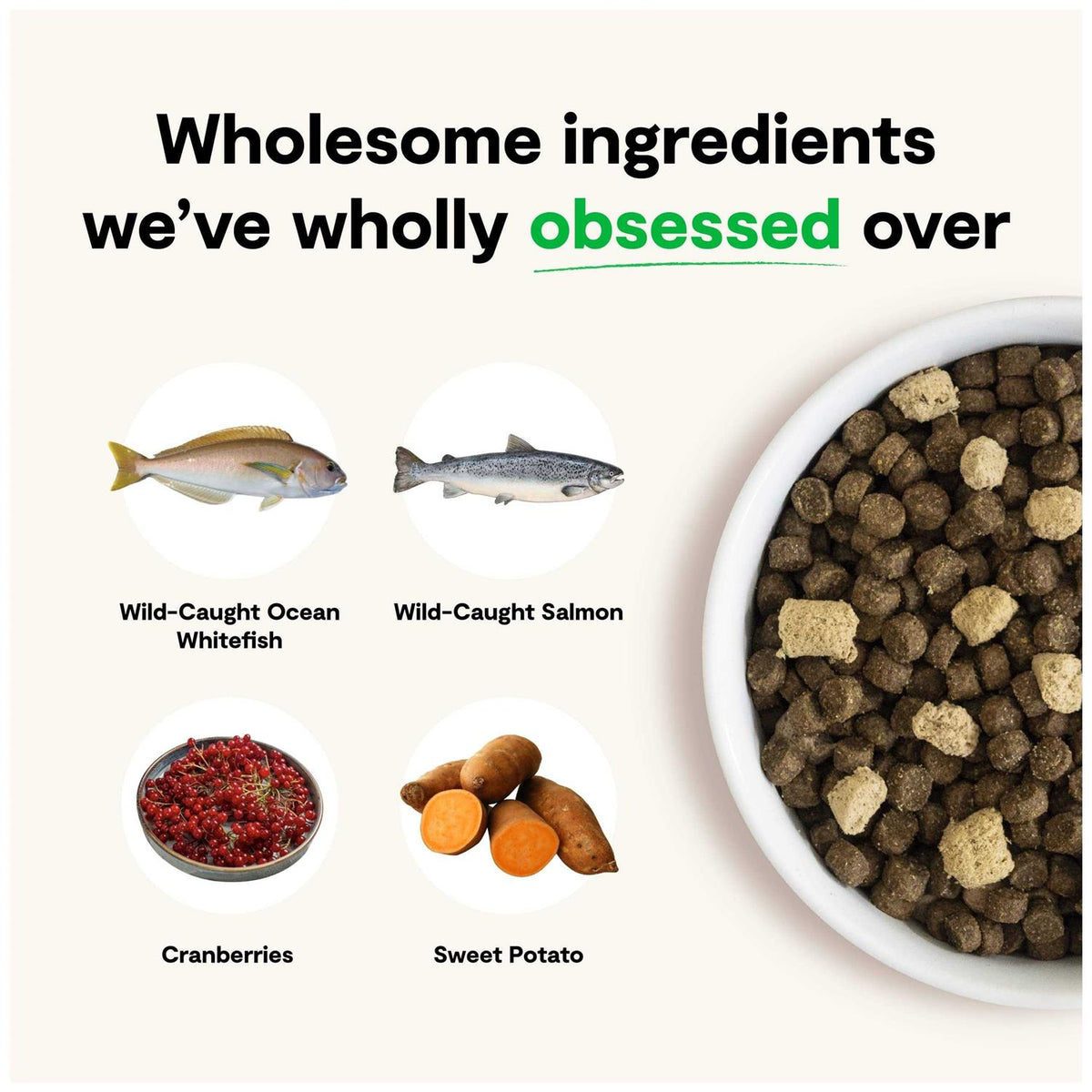 Grain-Free Dog Food B783407