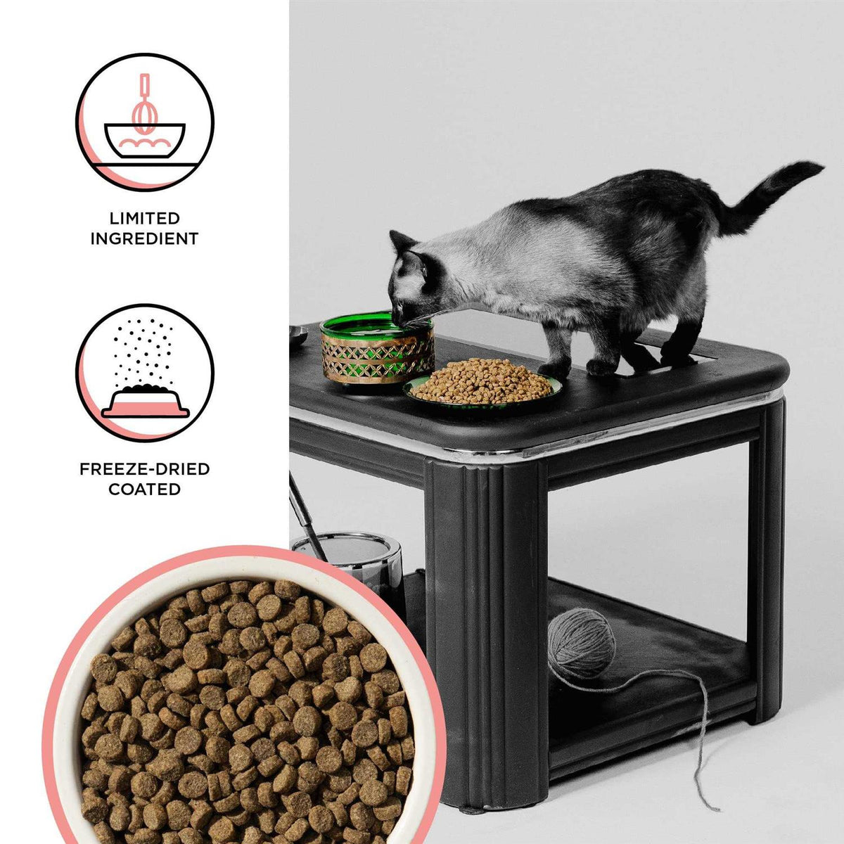 Chicken Recipe Dry Cat Food S3719