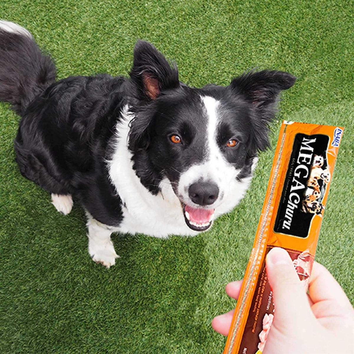 Chicken Flavored Grain-Free Dog Treats H144