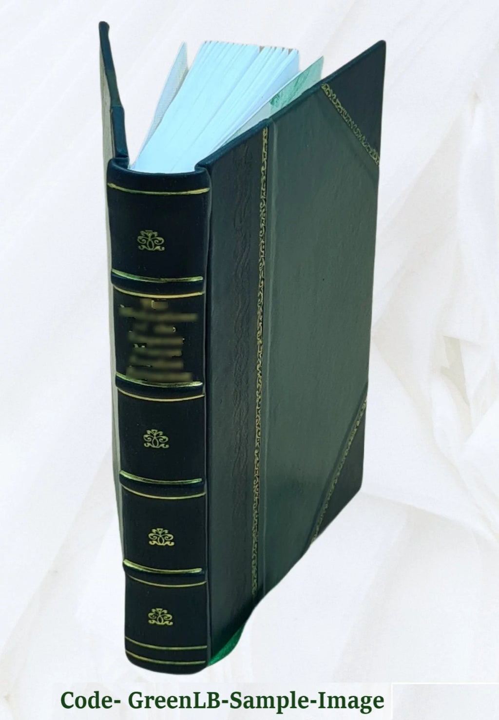 Leather Bound Book E96975