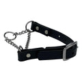 Martingale Collar for Dogs Biothane Stainless Steel Hardware L662420
