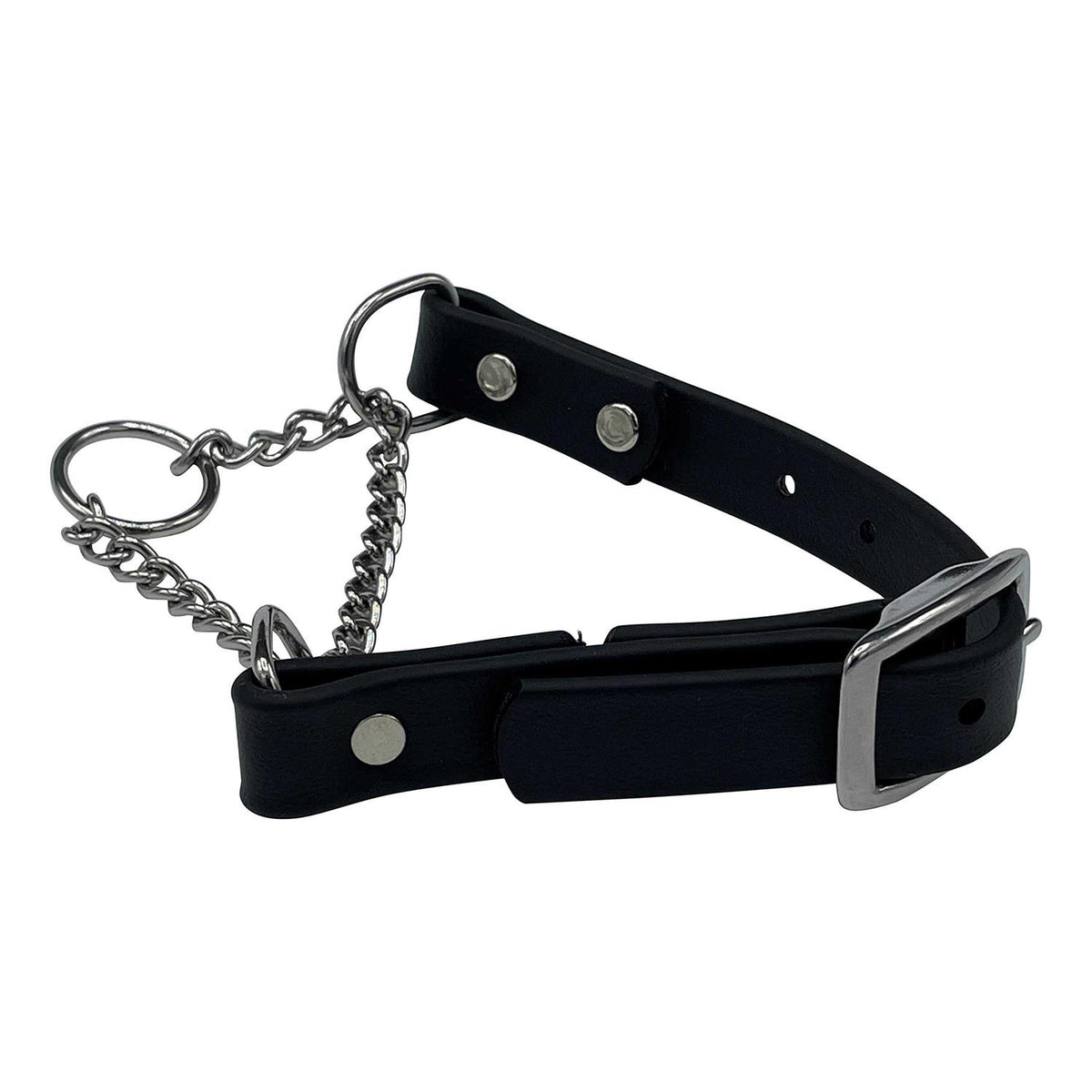 Martingale Collar for Dogs Biothane Stainless Steel Hardware L662420