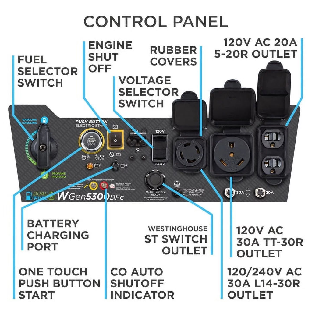 Dual Fuel Portable Generator with Remote Electric Start R13520